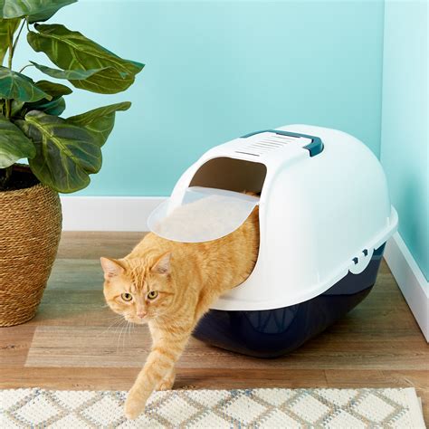 largest covered cat litter box